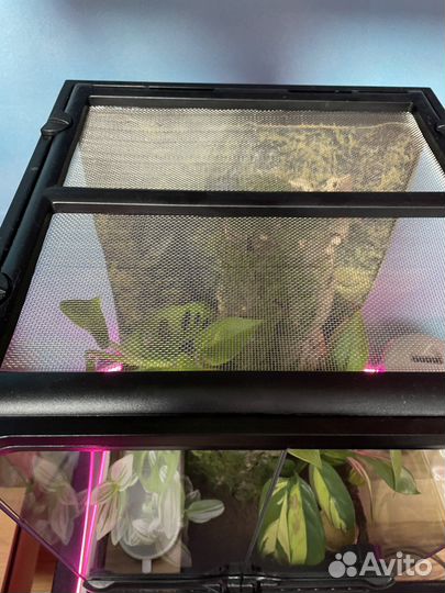 Террариум exo terra 30*30*45