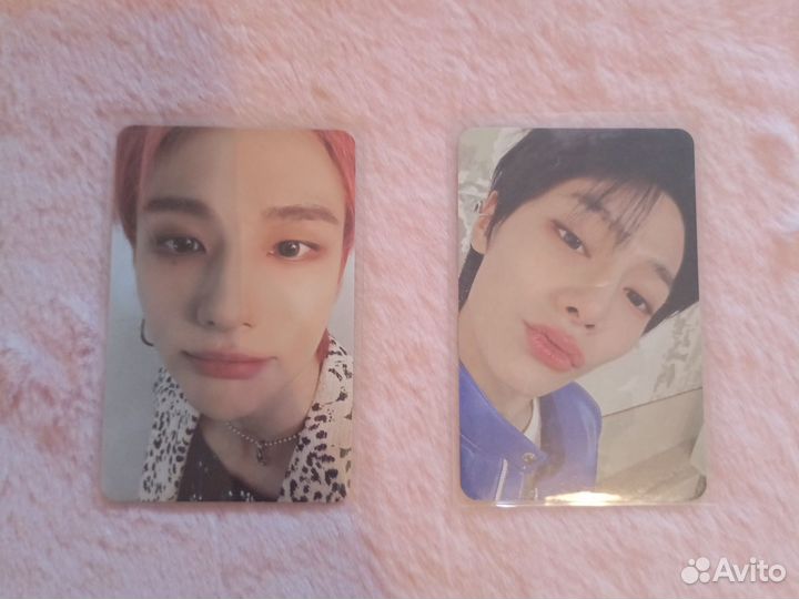 Stray kids 5 star карты