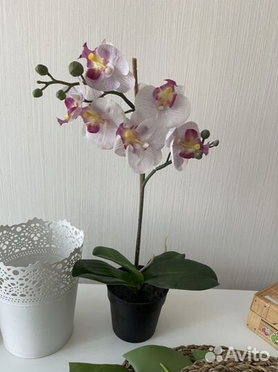 Искусственные цветы IKEA