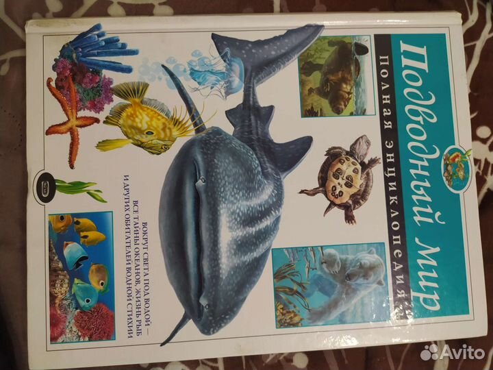 Энциклопедия подводный мир