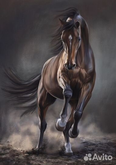 Художник иллюстратор