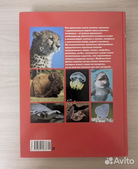 Энциклопедия про животных