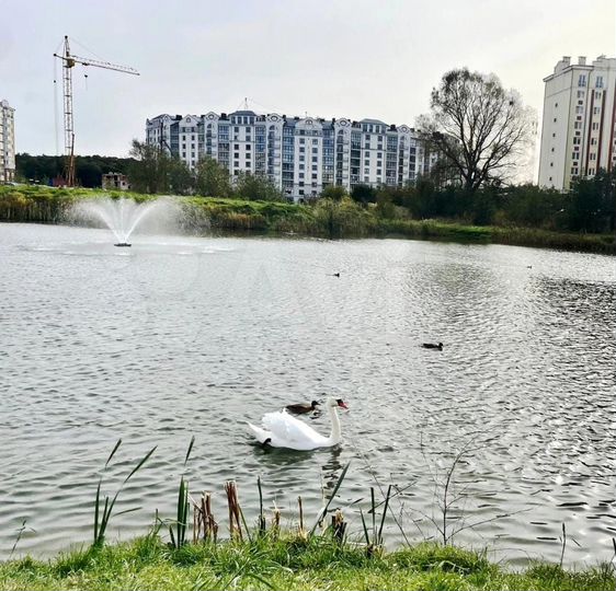 1-к. квартира, 52,3 м², 3/7 эт.