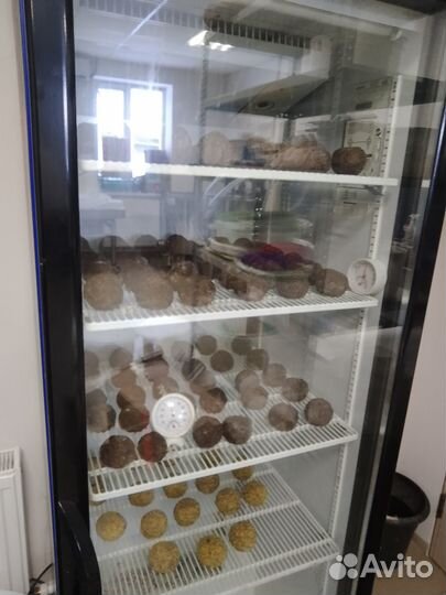 Готовый бизнес,Оборудование для сыроварни