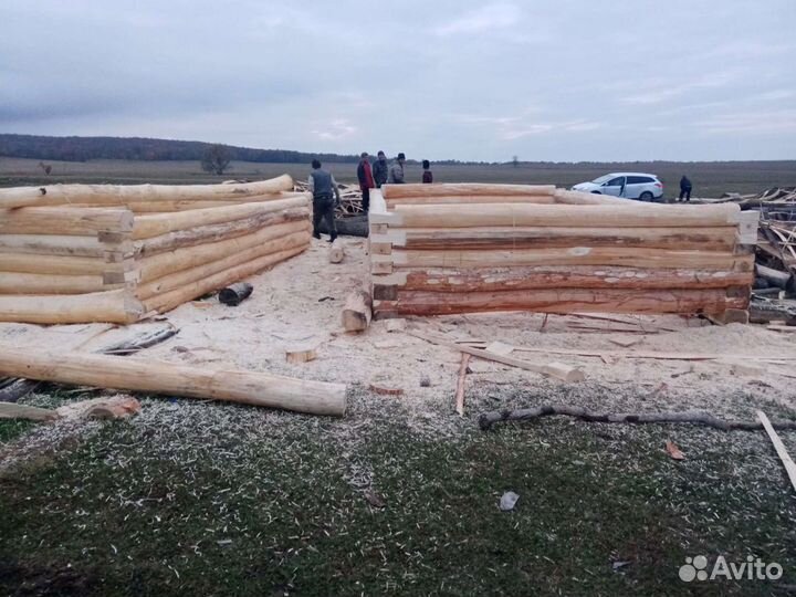 Срубы из липы