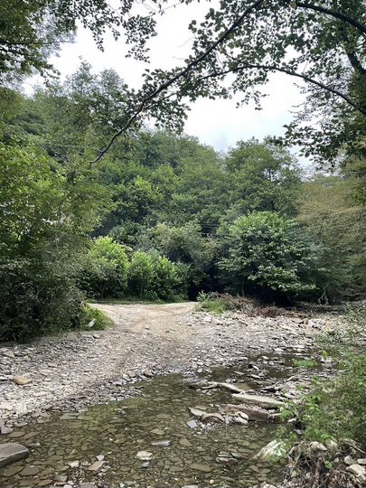 Участок 5 сот. (СНТ, ДНП)