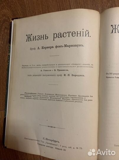 Старинные книги