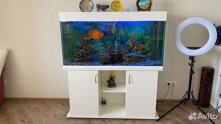 Все виды аквариумных услуг