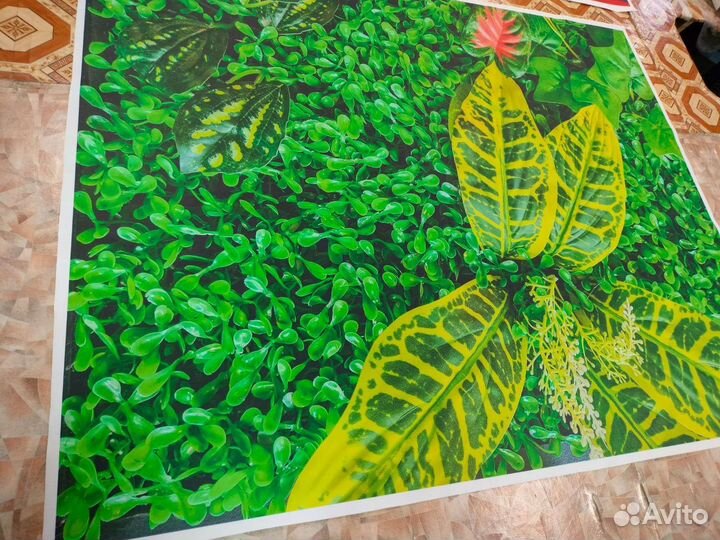 3 д фотообои