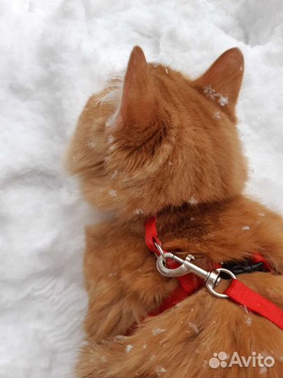 Котик для вязки