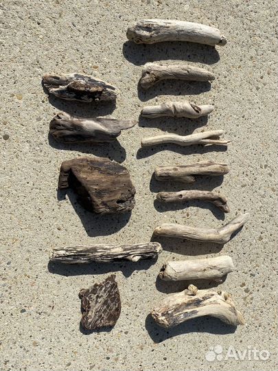 Коряги дрифтвуд