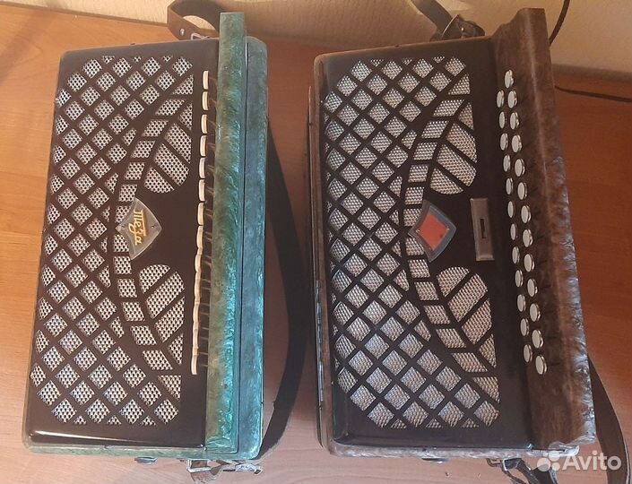 Гармонь чайка 2