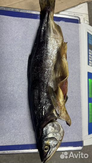 Красная рыба копченая