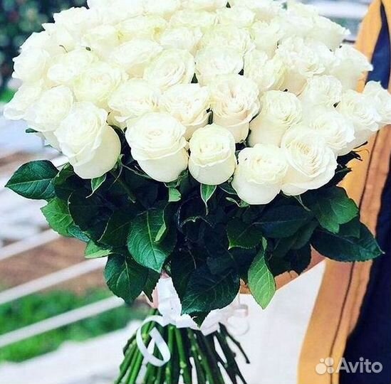 Розы Цветы Букеты 25 51 151 201 101 301 501 опт