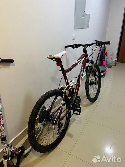 Mongoose salvo comp