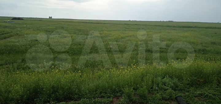 Участок 27,04 га (ИЖС)