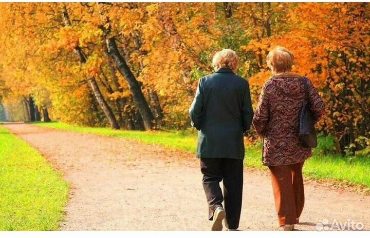 Спутница по прогулкам