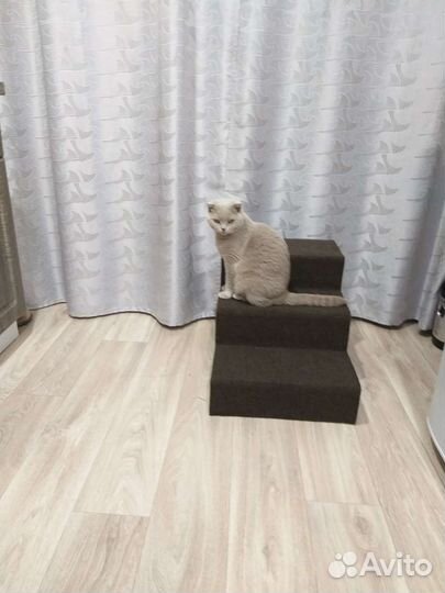 Домики и лесенки для кошек и собак с когтеточкой