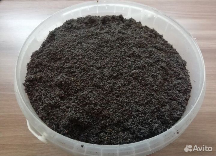 Пжвм сухой / огнёвка