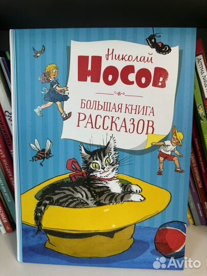 Большая книга рассказов, Н. Носов