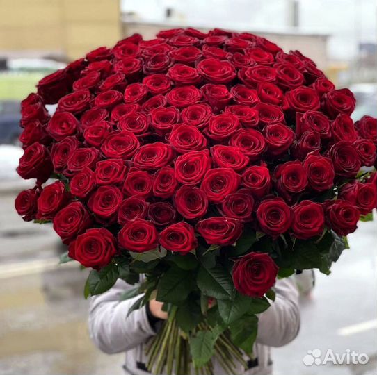 Розы Доставка цветов 25 51 101 роза Цветы