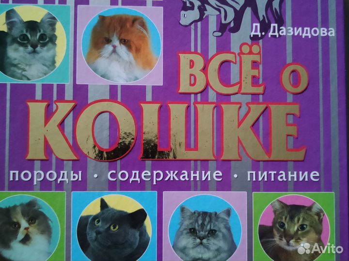 Книга Все о кошках