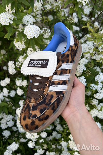 Adidas Samba Pony x Wales Bonner leopard