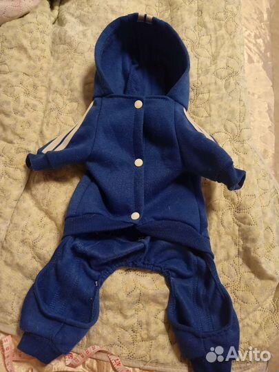 Вещи на собачку