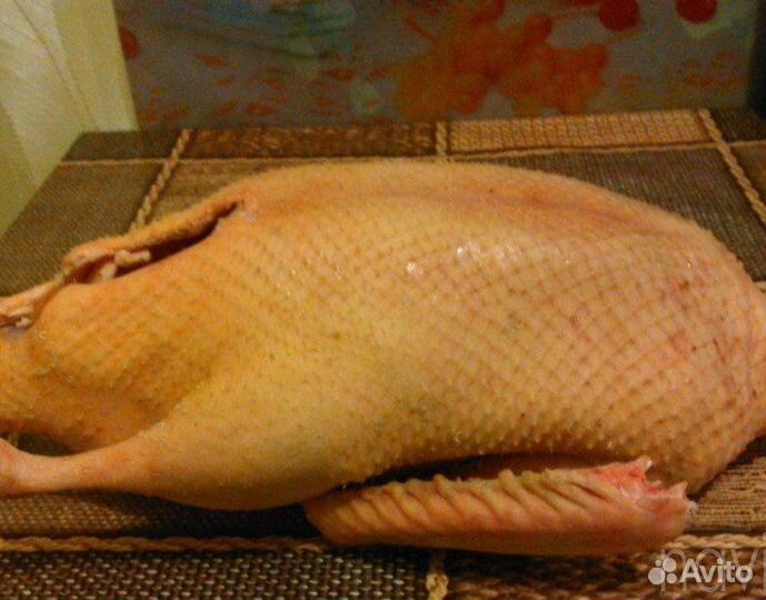 Гусиное мясо домашнее