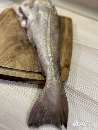 Треска Атлантическая