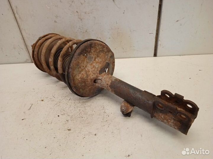 Амортизатор передний правый Chery Tiggo T11 DB