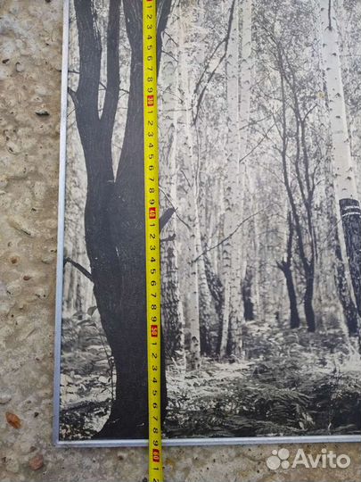 Фотопанно в AL раме, СССР