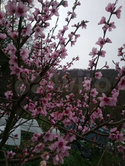 Дача 100 м² на участке 10 сот.