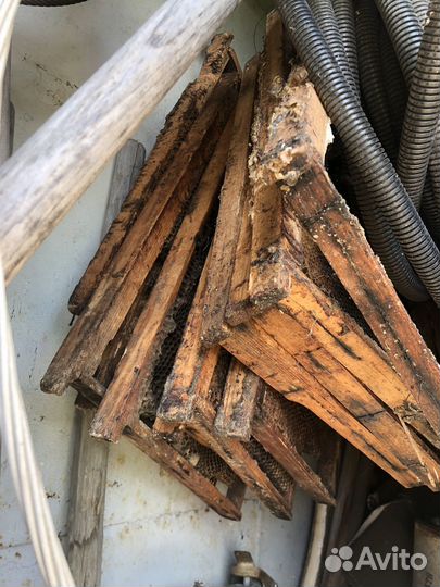 Пчелиный улий