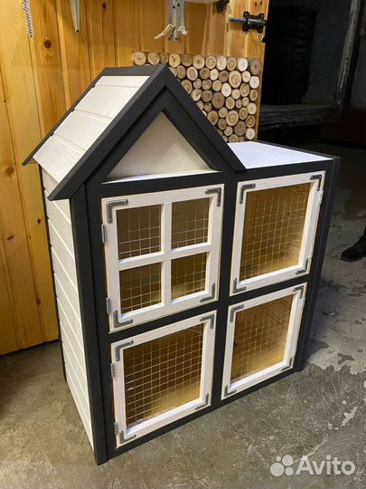 Много мини кроликов