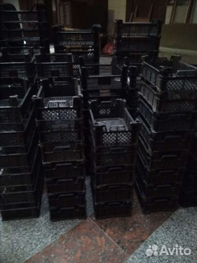 Пластиковые ящики для овощей бу