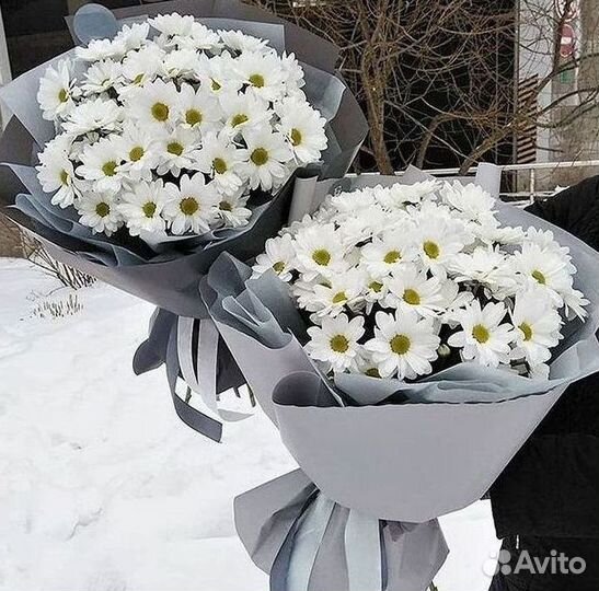 Доставка букетов и цветов. Хризантема