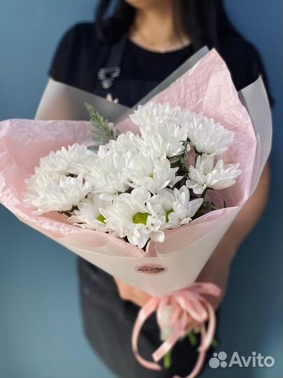 Хризантемы кустовые ромашка