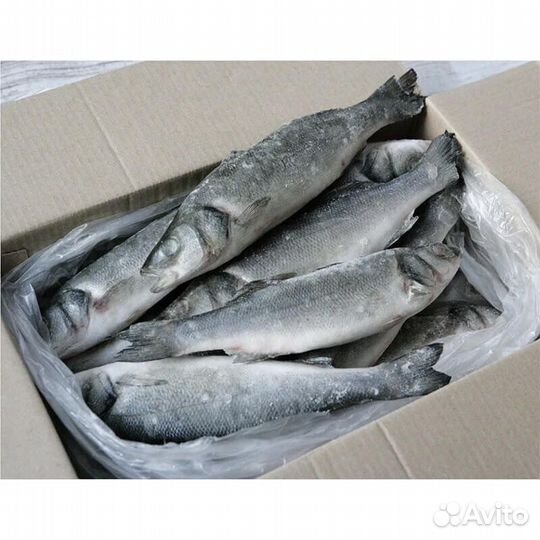 Сибас (сухая заморозка)