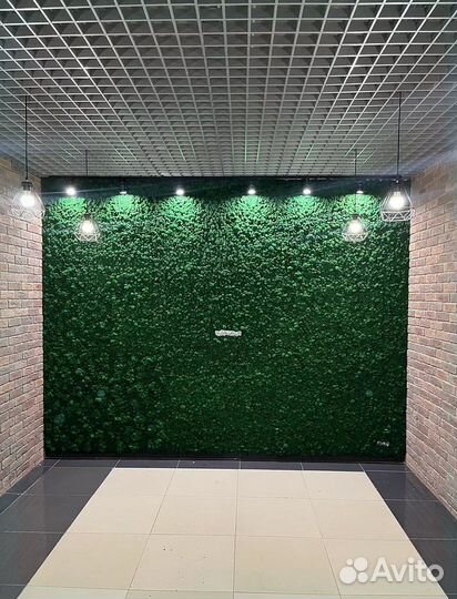 Стабилизированный мох панно