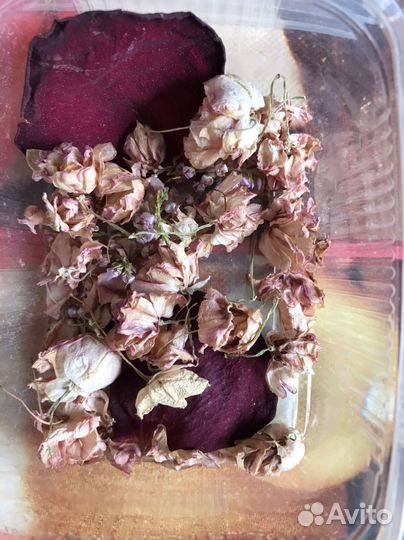 Набор сухоцветов для декорирования