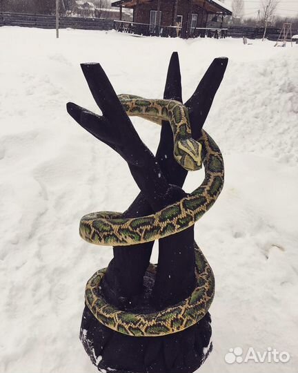 Резьба по дереву,скульптуры