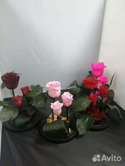 Роза в колбе оптом и в розницу