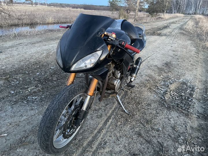 Cronus golden eagl 250