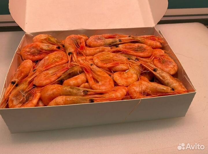 Креветка северная. Оптовые цены