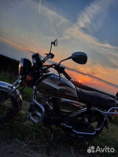 Motoland Alpha VR 11