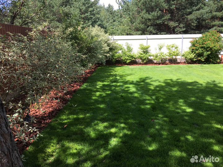 Рулонный газон элитный под ключ