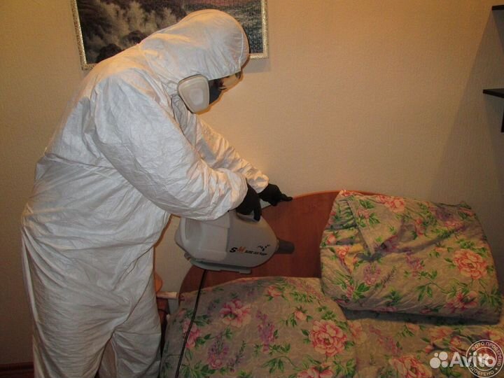 Обработка от клопов, уничтожение тараканов