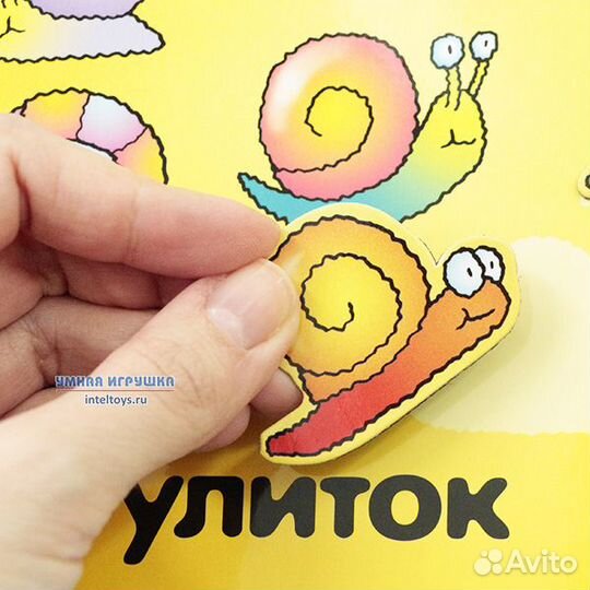 Счет Магнитная книга