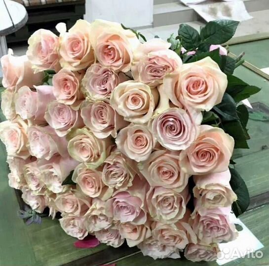 51 роза с доставкой, букет роз с доставкой